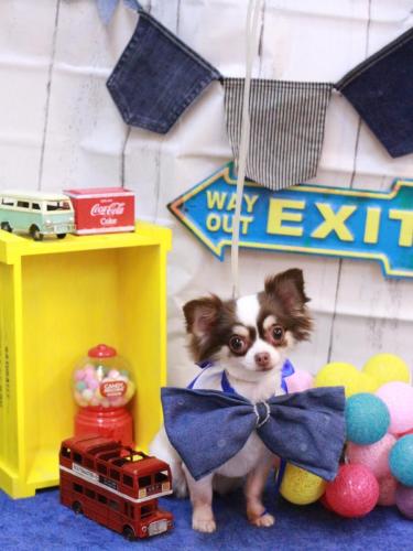 20230408ミルちゃん